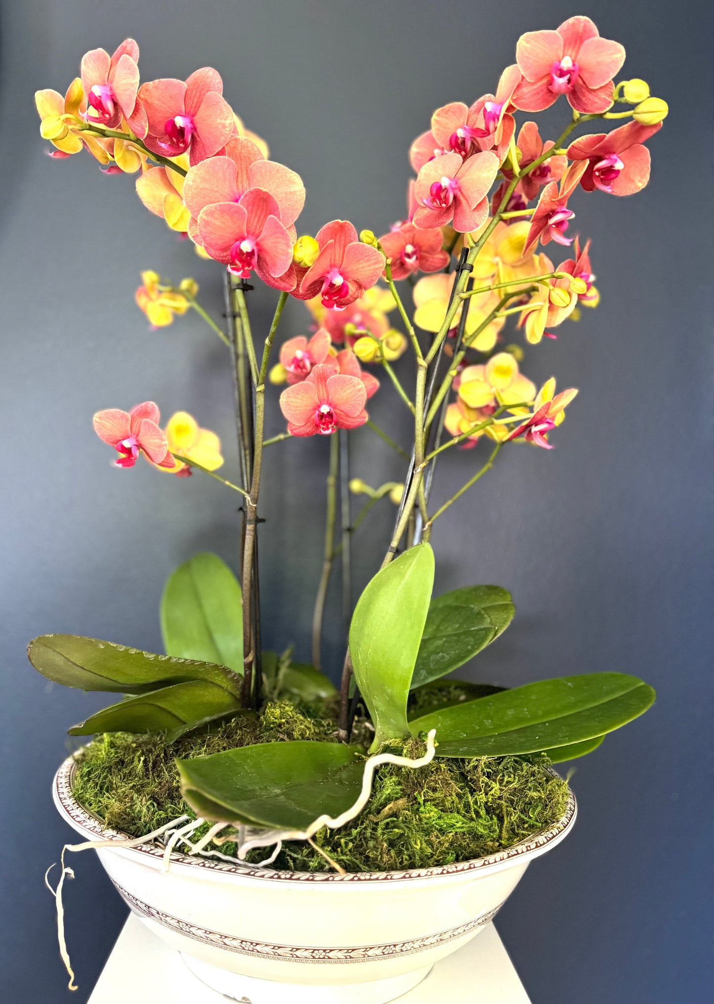 Extra Large Flower Delivery