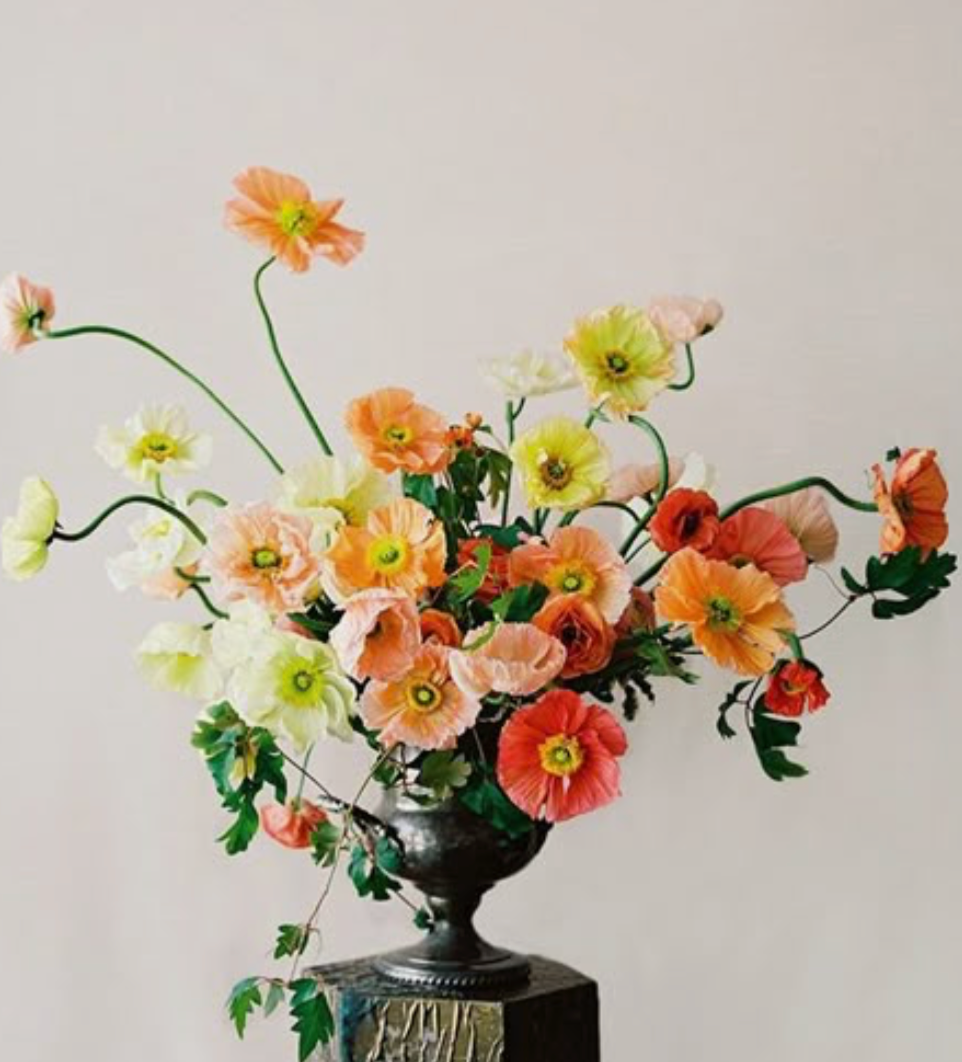 Large Flower Delivery